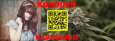 сатива Малгобек
