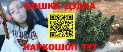 сатива Малгобек