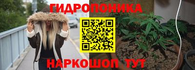 сатива Малгобек