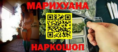 сатива Малгобек